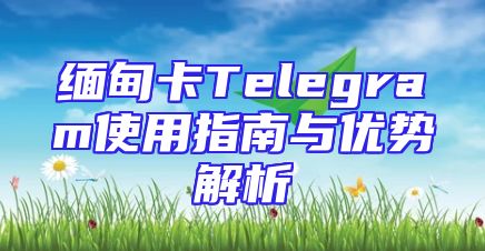缅甸卡Telegram使用指南与优势解析