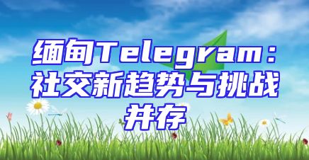 缅甸Telegram：社交新趋势与挑战并存