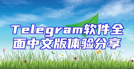 Telegram软件全面中文版体验分享
