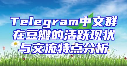 Telegram中文群在豆瓣的活跃现状与交流特点分析