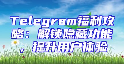 Telegram福利攻略：解锁隐藏功能，提升用户体验