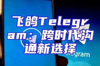 飞鸽Telegram：跨时代沟通新选择