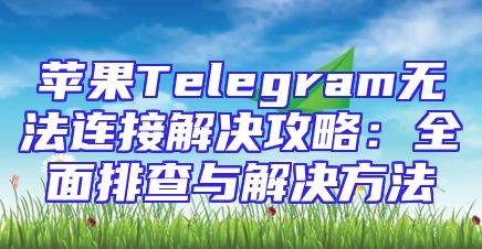 苹果Telegram无法连接解决攻略：全面排查与解决方法
