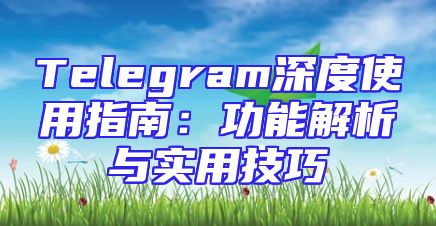 Telegram深度使用指南：功能解析与实用技巧
