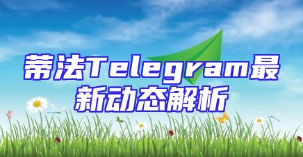 蒂法Telegram最新动态解析