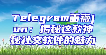 Telegram蔷薇jun：揭秘这款神秘社交软件的魅力