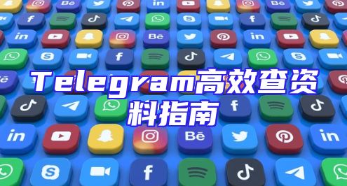 Telegram高效查资料指南