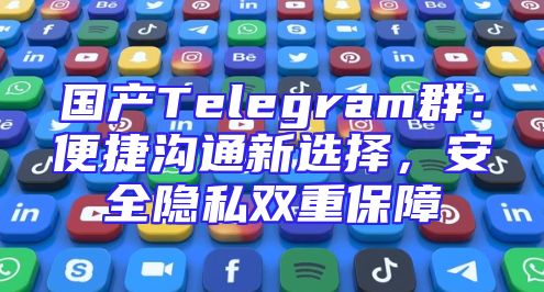 国产Telegram群：便捷沟通新选择，安全隐私双重保障