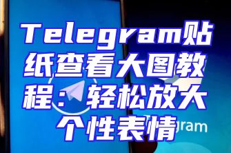 Telegram贴纸查看大图教程：轻松放大个性表情