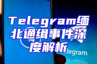 Telegram缅北通缉事件深度解析