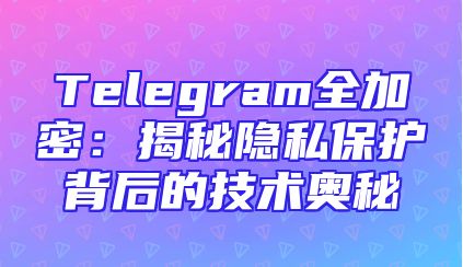 Telegram全加密：揭秘隐私保护背后的技术奥秘
