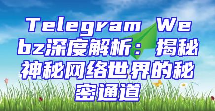 Telegram Webz深度解析：揭秘神秘网络世界的秘密通道