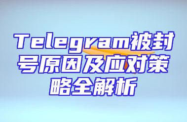 Telegram被封号原因及应对策略全解析