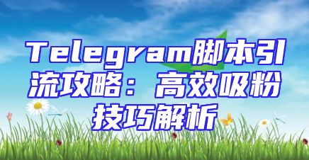 Telegram脚本引流攻略：高效吸粉技巧解析