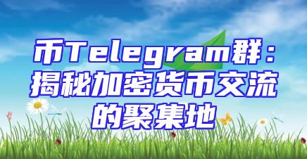 币Telegram群：揭秘加密货币交流的聚集地