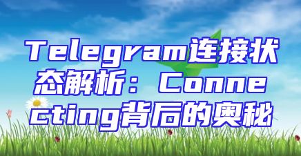 Telegram连接状态解析：Connecting背后的奥秘