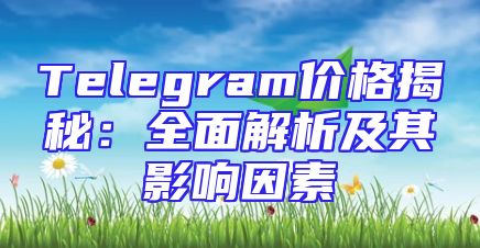 Telegram价格揭秘：全面解析及其影响因素