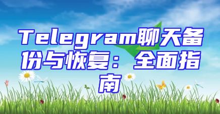 Telegram聊天备份与恢复：全面指南