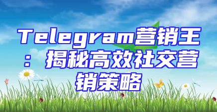 Telegram营销王：揭秘高效社交营销策略