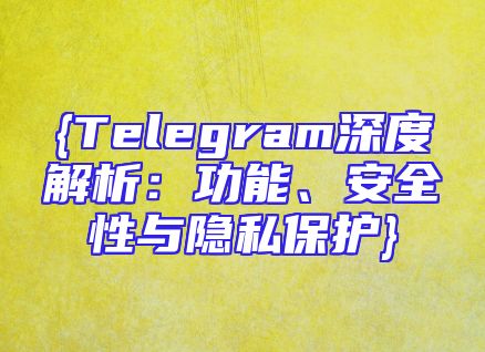 {Telegram深度解析：功能、安全性与隐私保护}