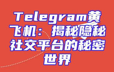 Telegram黄飞机：揭秘隐秘社交平台的秘密世界