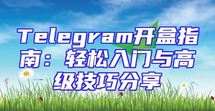 Telegram开盒指南：轻松入门与高级技巧分享