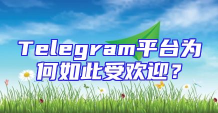 Telegram平台为何如此受欢迎？