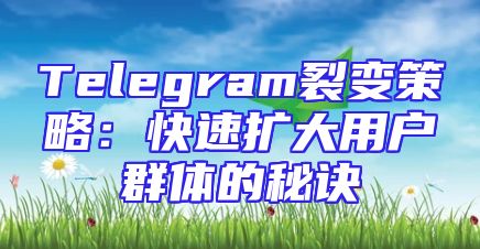 Telegram裂变策略：快速扩大用户群体的秘诀