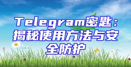 Telegram密匙：揭秘使用方法与安全防护