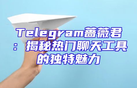 Telegram蔷薇君：揭秘热门聊天工具的独特魅力