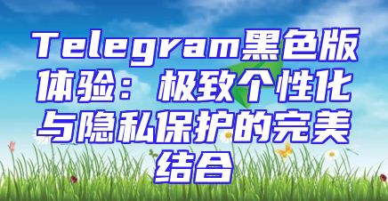 Telegram黑色版体验：极致个性化与隐私保护的完美结合