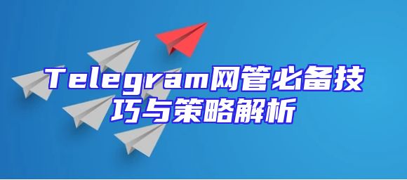 Telegram网管必备技巧与策略解析