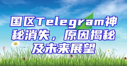 国区Telegram神秘消失，原因揭秘及未来展望