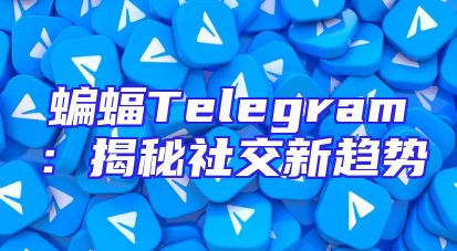 蝙蝠Telegram：揭秘社交新趋势