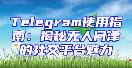 Telegram使用指南：揭秘无人问津的社交平台魅力