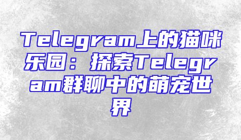Telegram上的猫咪乐园：探索Telegram群聊中的萌宠世界