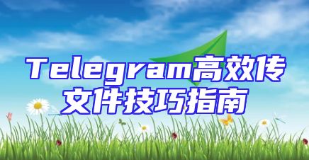 Telegram高效传文件技巧指南