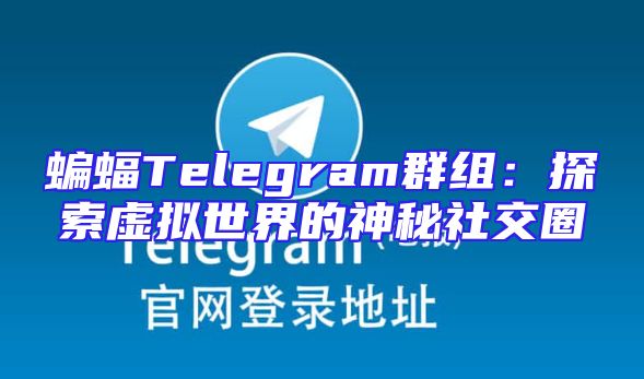 蝙蝠Telegram群组：探索虚拟世界的神秘社交圈