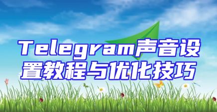Telegram声音设置教程与优化技巧