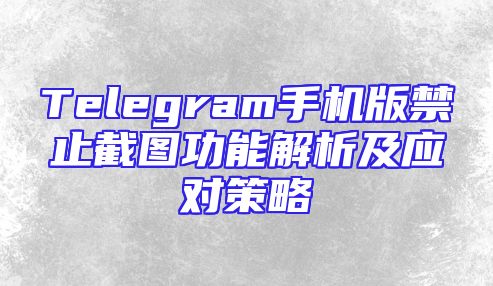 Telegram手机版禁止截图功能解析及应对策略