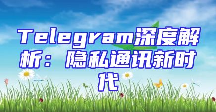 Telegram深度解析：隐私通讯新时代