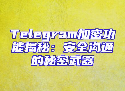 Telegram加密功能揭秘：安全沟通的秘密武器
