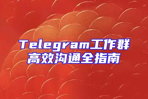 Telegram工作群高效沟通全指南