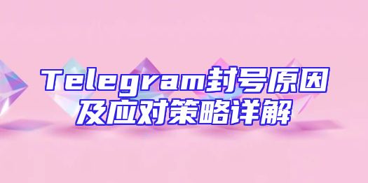 Telegram封号原因及应对策略详解