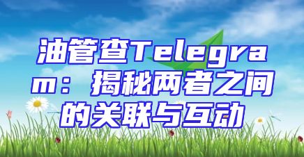 油管查Telegram：揭秘两者之间的关联与互动