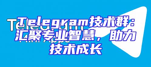 Telegram技术群：汇聚专业智慧，助力技术成长
