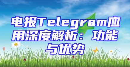 电报Telegram应用深度解析：功能与优势