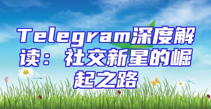 Telegram深度解读：社交新星的崛起之路