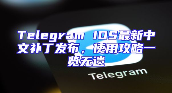 Telegram iOS最新中文补丁发布，使用攻略一览无遗