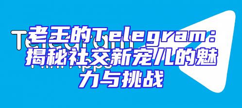 老王的Telegram：揭秘社交新宠儿的魅力与挑战